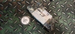 Ölsieb Aprilia, Derbi, Piaggio, Vespa Art. 431242