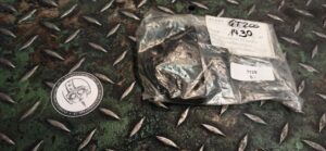 Antriebsscheibe Wasserpumpe Piaggio Art. 872908