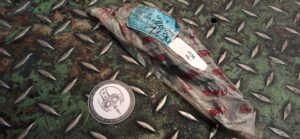 Bremshebel Malaguti Art. 121.132.03