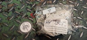 Bremsbeläge Piaggio Art. 647164