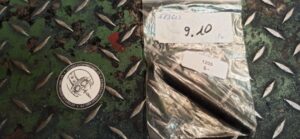 Bolzen Zentralständer Piaggio Art. 583603