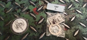 Dichtung Malaguti Art. 072.053.00