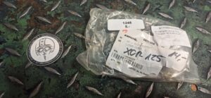 Blinkerglas vorne links Generic XOR 125 Art. 81102BN0T000