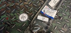 Keilriemen 819 x 19 x 32 SYM Art. 1B01H9A01