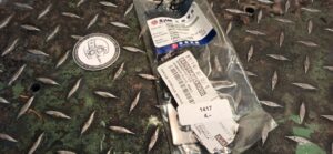 Nummerhalter SYM Art. 84701-A8D-000