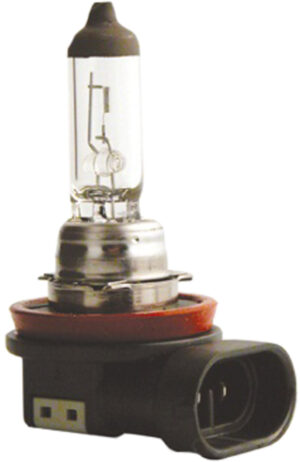 Halogenlampe H11 12V/55W LongLife EcoVision | Philips 12362LLECO