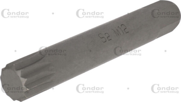 Projahn 1/2 Zoll Bit-Stecknuss – Vielzahn M12 – Für Kräftiges Schrauben & Lösen